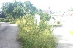 942d2db0-36b5-4cc3-8d7b-391304c536ac