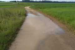 PHOTO-2020-06-16-20-54-37