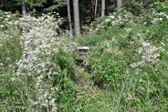 PHOTO-2022-07-03-10-06-25